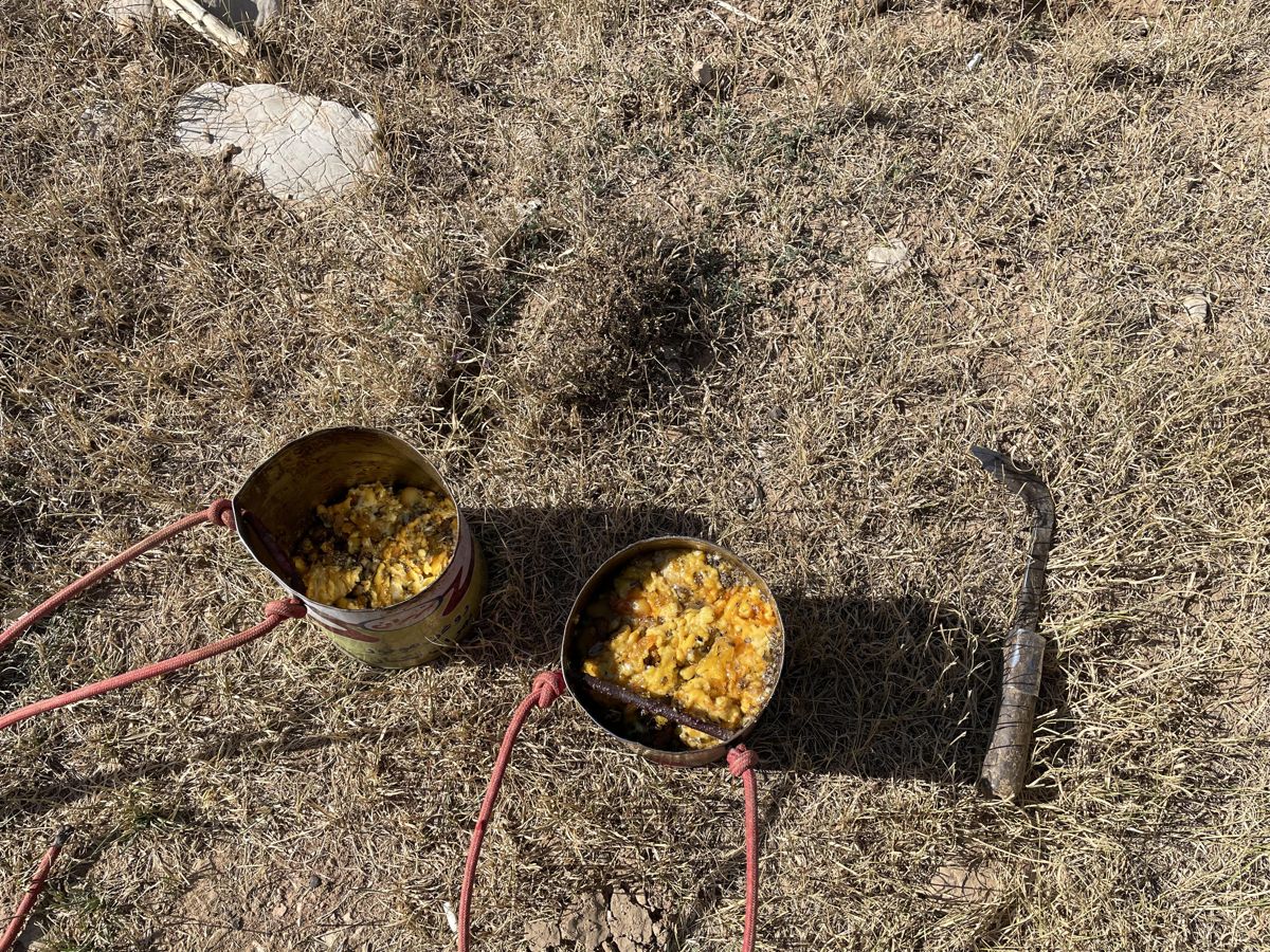 Authentic mountain Galbanum, delivered first-hand to our customers