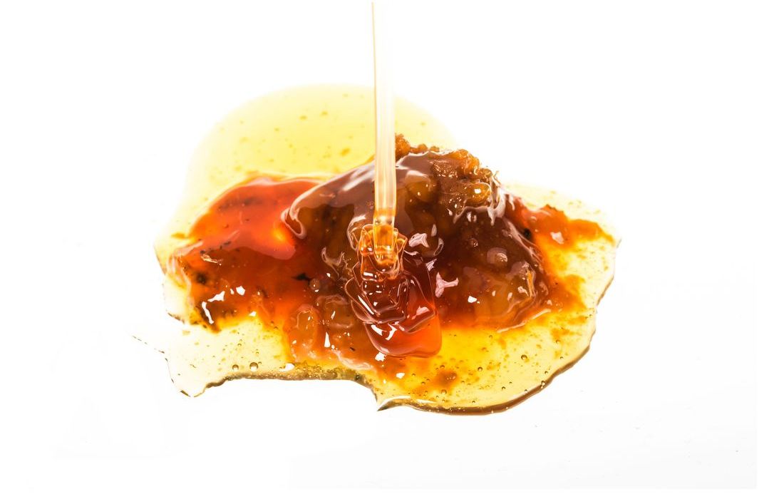 Ferula gummosa gum showing natural oleoresin structure